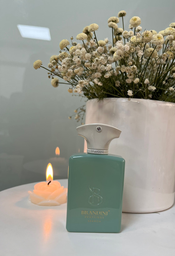 عطر ادکلن ۳۳ میل برندینی -ادو پرفیوم آمواج سرچAmputate Search Brandini