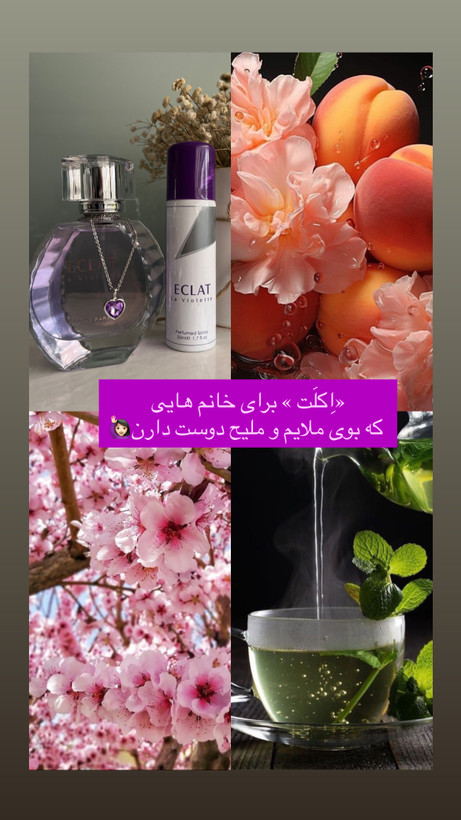 عطر ادکلن ادوپرفیوم زنانه لانوین اکلت د آرپج فراگرنس ورد اکلت لا ویولت همراه با یک اسپری رایگان